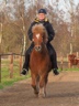 Reiten